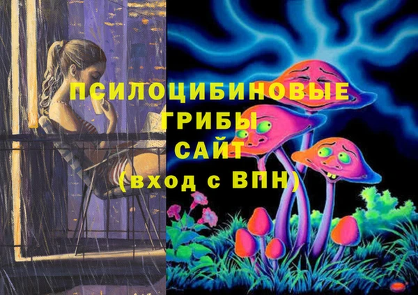 мяу мяу мука Гусев