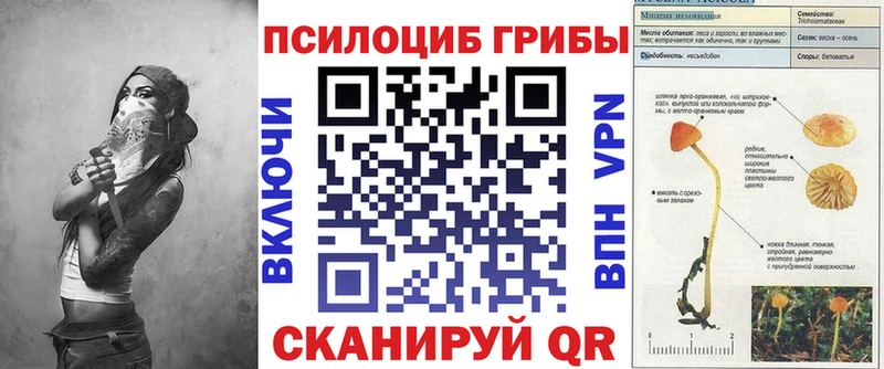 Псилоцибиновые грибы GOLDEN TEACHER  Купить где  Приморск 